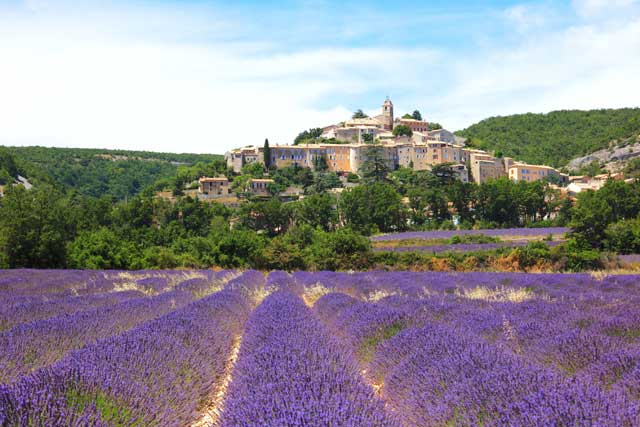 Ambiance Provence dans l'arrière Pays...